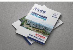 ͩ������