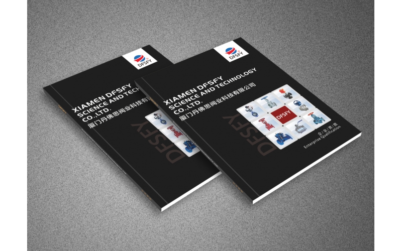 ����˹����