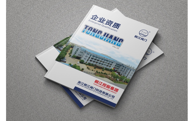 ͩ������